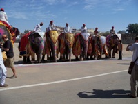 Rageelo Rajasthan